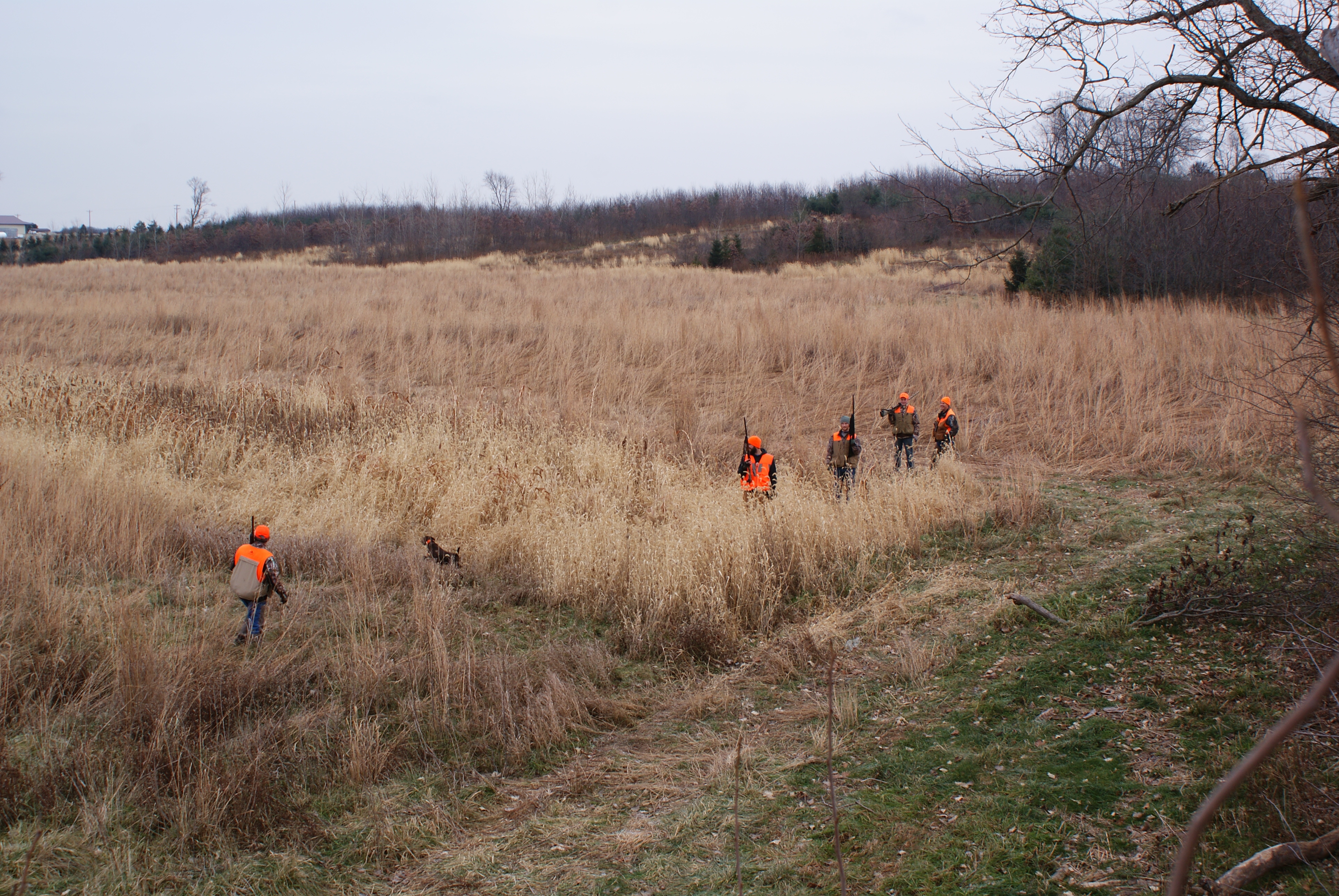 Hillside Shooting Sports