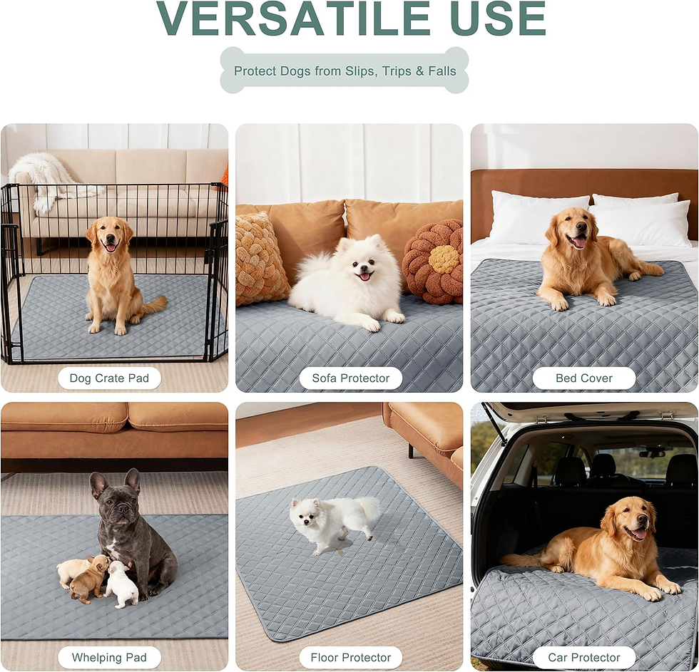 Thumbnail: Reusable Washable Pee Pads for Dogs Large/Extra Large 36'' X 41'' 2 Pack, Absorb