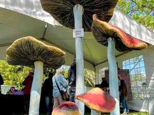 Giant Mushrooms Take Over the Santa Cruz Mushroom Festival!