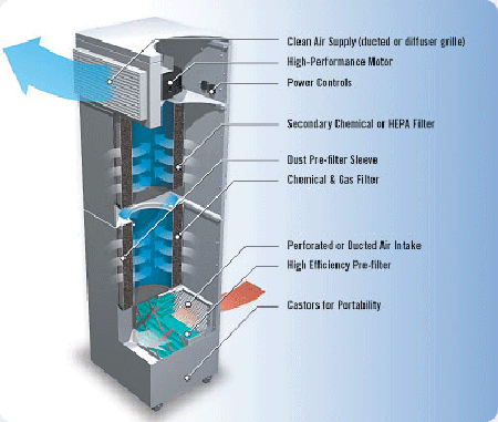 HEPA Air Purifier for Mold Review