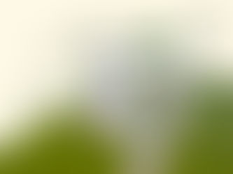 L'Imperativo Ecologico nelle Costruzioni Moderne: Come e Perché Costruire Edifici Ecosostenibili