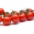 ciliegino-rosso.jpg