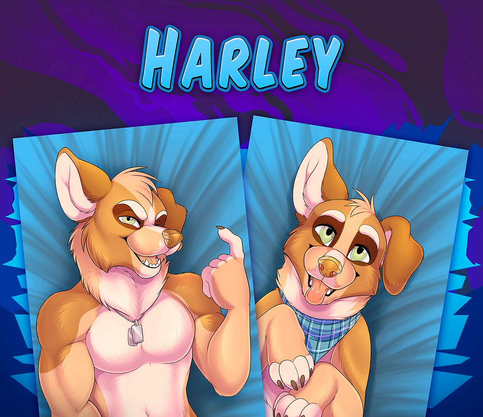 Thumbnail: Dakimakuras