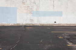 untitled (137 of 379).jpg