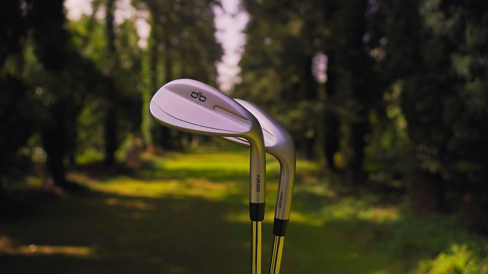 DTB Hero - JPG (2).jpg