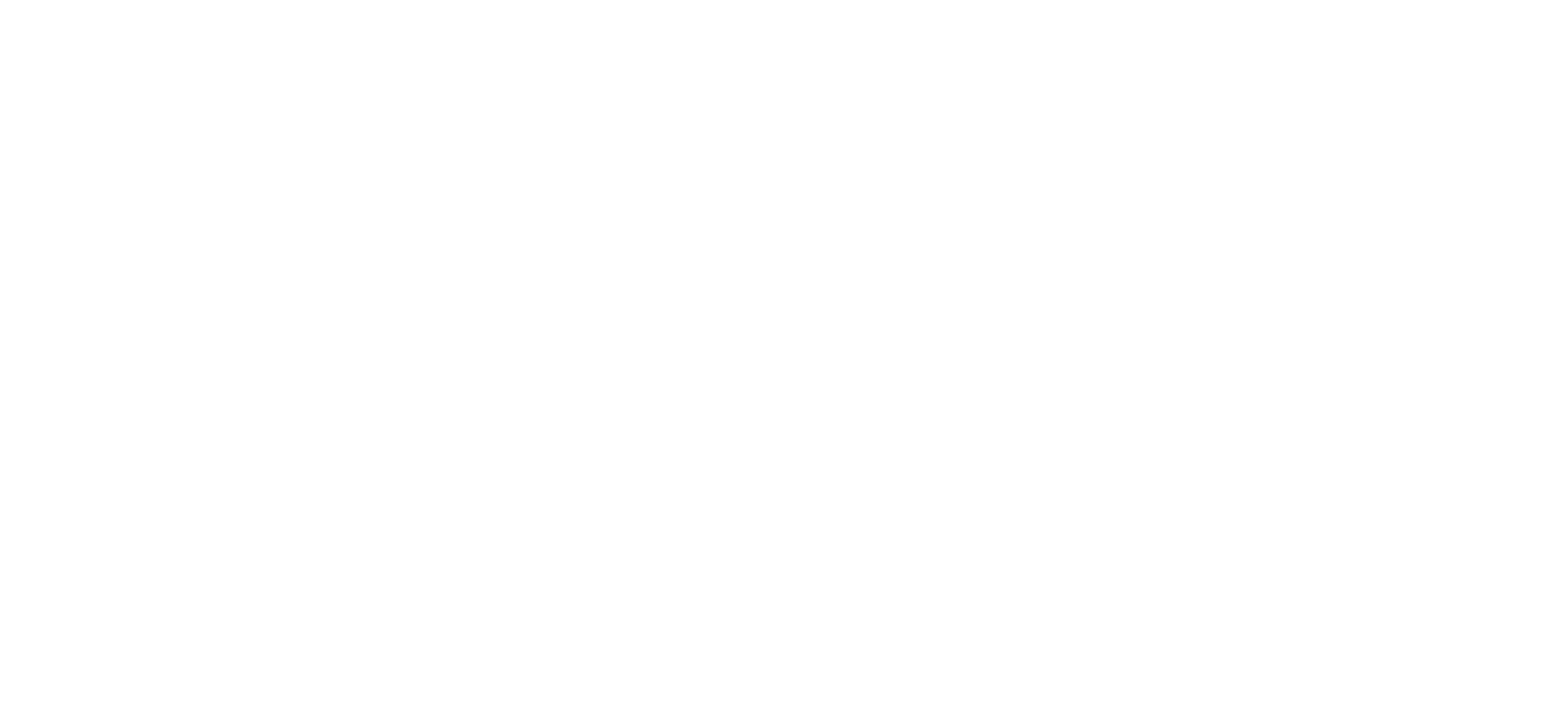 Logo CFOSinTech primary white.png