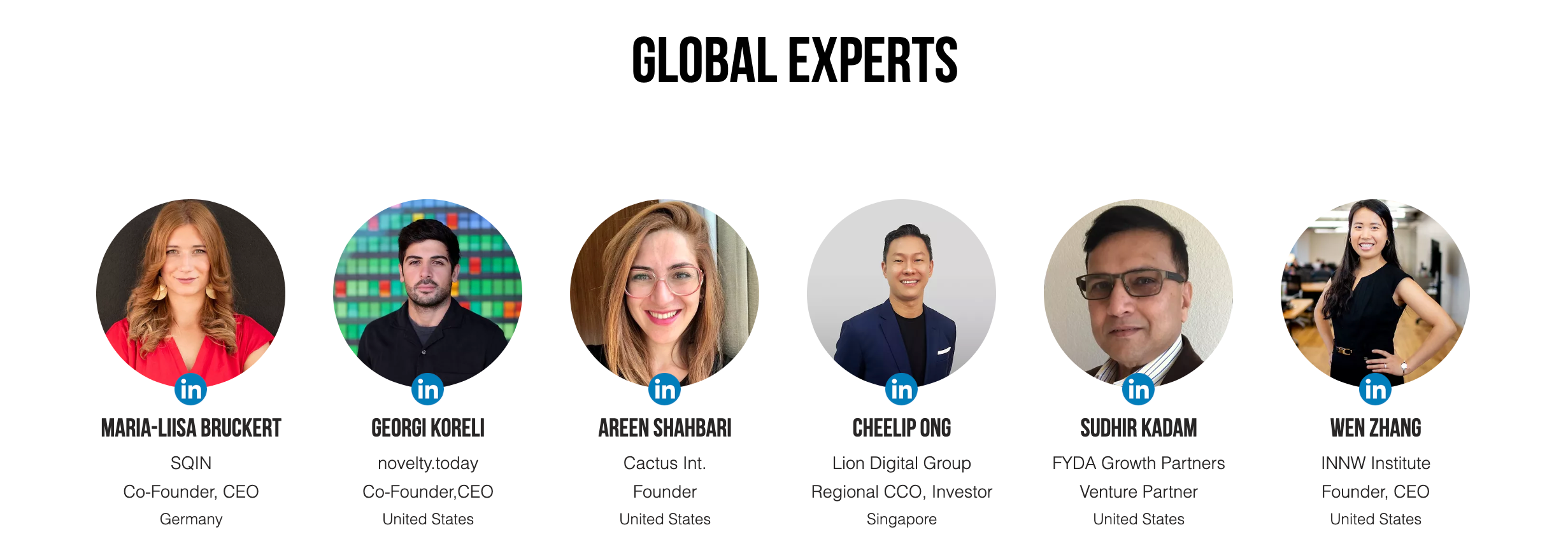 Global Advisors - Venture Capital