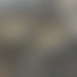 Mommy Cat and Me - The Squirrel Dilemma! Chris Miller