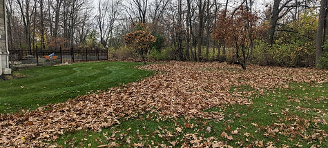 PXL_20241102_163352161.jpg