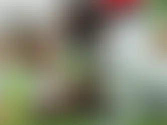 ميليتاو يقترب من العودة إلى تدريبات ريال مدريد بعد تحسن ملحوظ في تعافيه من الإصابة