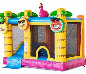 mini flamand rose.webp