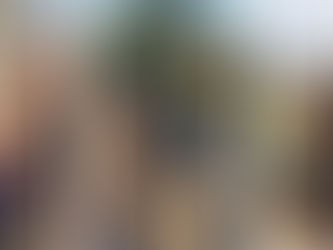 The Versatility and Power of the 24–70mm Lens in Photography