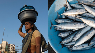 My First Visit to Sassoon Dock: A Photographer’s Perspective