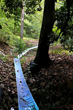 IMG_1706 (1)_edited_edited.jpg