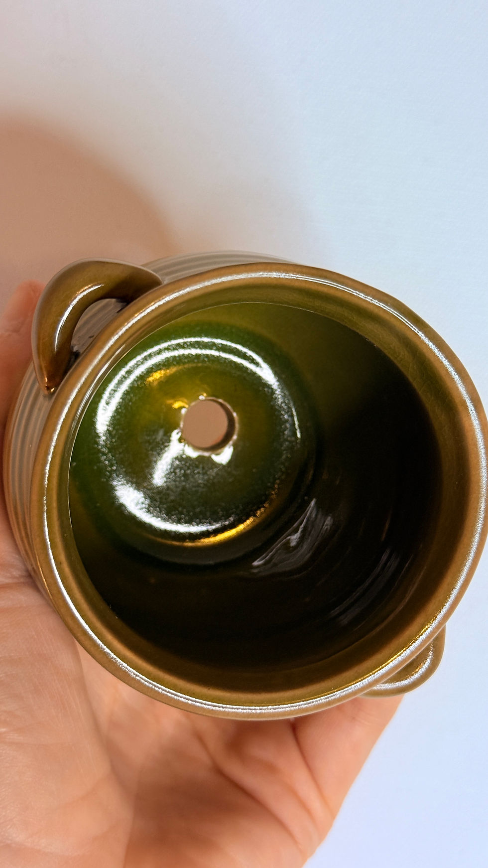 Thumbnail: THEE FERNS GULLET