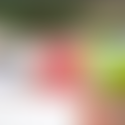 Nutrition Essentials for Adolescent Girls