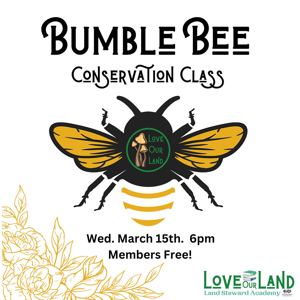 Bumble Bee Conservation Class