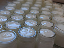 BMU SS Jars