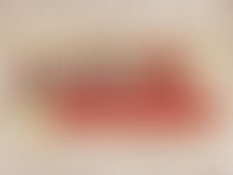 Wrapped Up: a Chipotle review