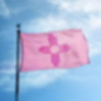 pinKNM.jpg