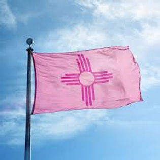 pinKNM.jpg