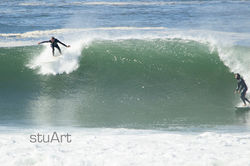IMG_6254