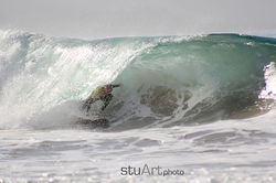 IMG_9404eb