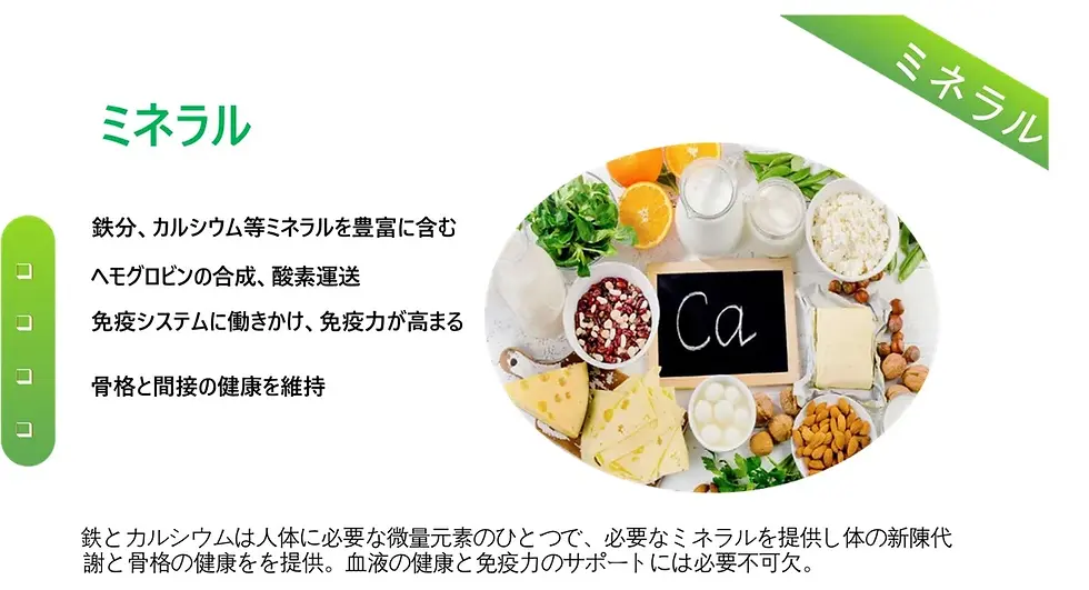 プロテイン