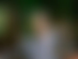 71: Julie Johnson on the Regenerative Roots of the Wine Supply Chain