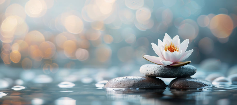 vecteezy_tranquil-lotus-flower-blossom-on-stacked-stones-in-calming_49093595.jpeg