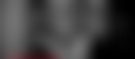 A Cat Called Bongani Madondo