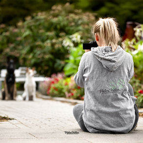 Was kostet ein Hundeshooting