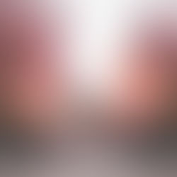 Socke, Amstaff Regenbogenshooting 2021