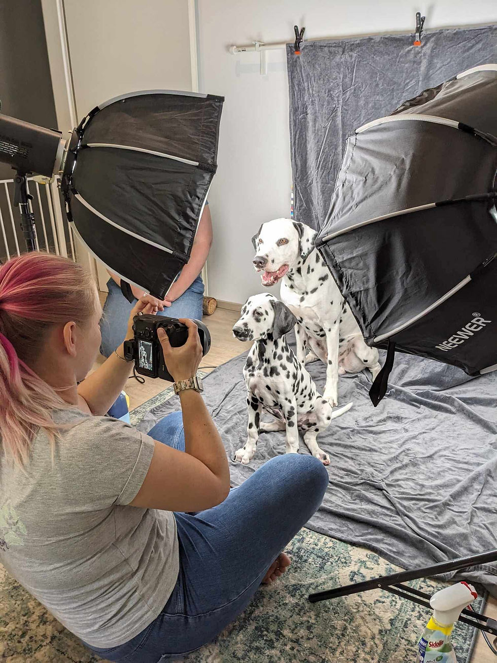 Behind the Scene von Pfotenfaktor beim Studioshooting