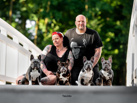 Iago, Toffee, Blue und Meeko, französische Bulldoggen, & Familie - Fotoshooting in Hamm