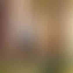 Space, Altdeutscher Tiger zum Zauberwaldshooting