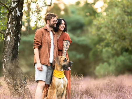 Emmi, Deutsche Dogge & Familie - Fotoshooting in der Heide
