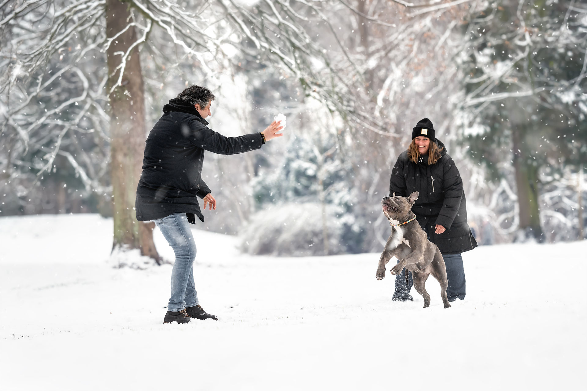 Lilo, American Bully zum Schneeshooting