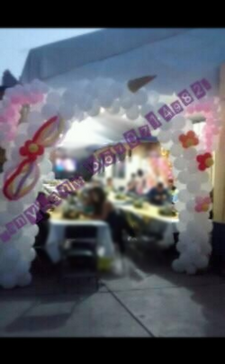 Arco unicornio_