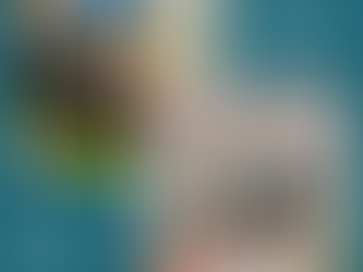 Retour sur le forum des lycéens 