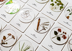 誤植生存法則03 - Abner.jpg