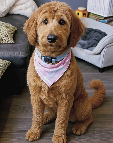 ChatGPT Image Jul 7, 2025, 01_29_42 AM_e