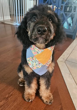 541740075_10230169112752955_712660532263