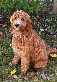 548143325_10163836486431115_874223283493