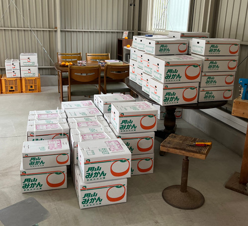 温州みかん 5キロ箱 | 安武みかん園