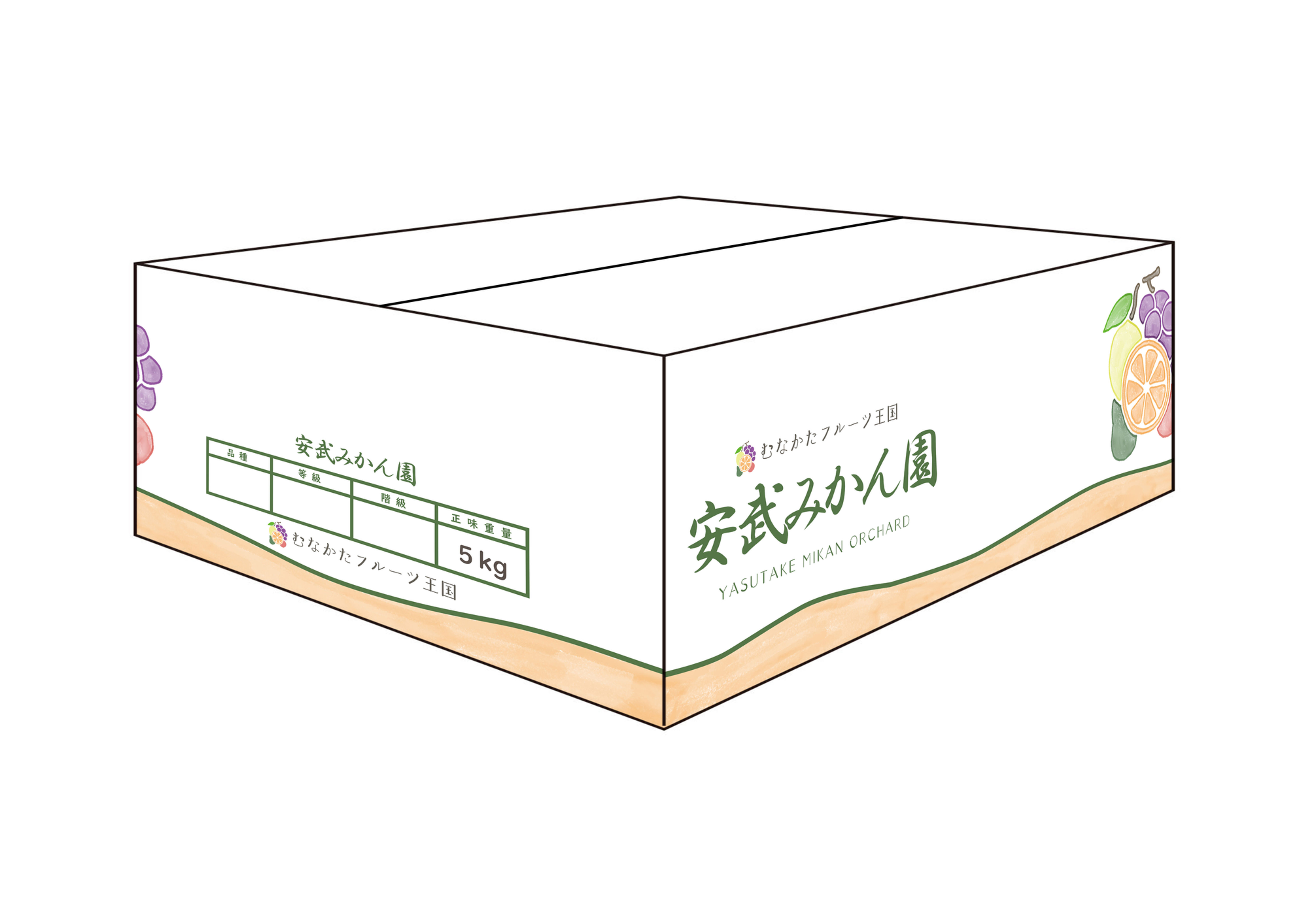 温州みかん 5キロ箱