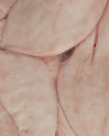 Day 2 - Gut to bowel you over.jpg