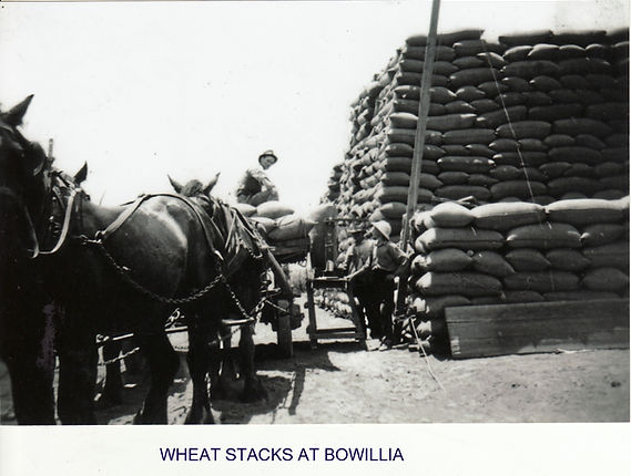 Wheat stacks at Bowillia.jpg