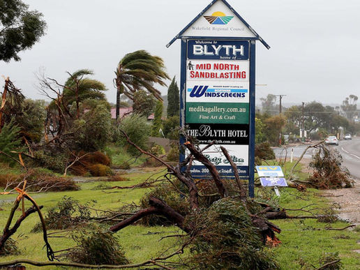 Downed trees at Blyth in the Mid North. Picture - Dylan Coker