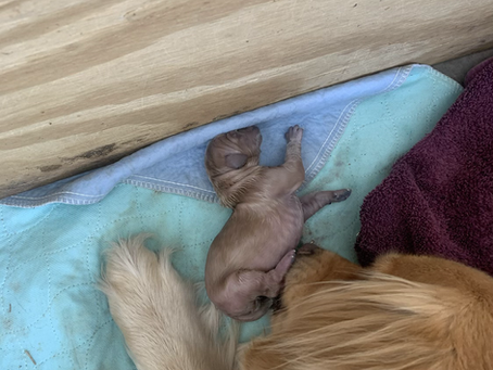 It’s a zoo around here...